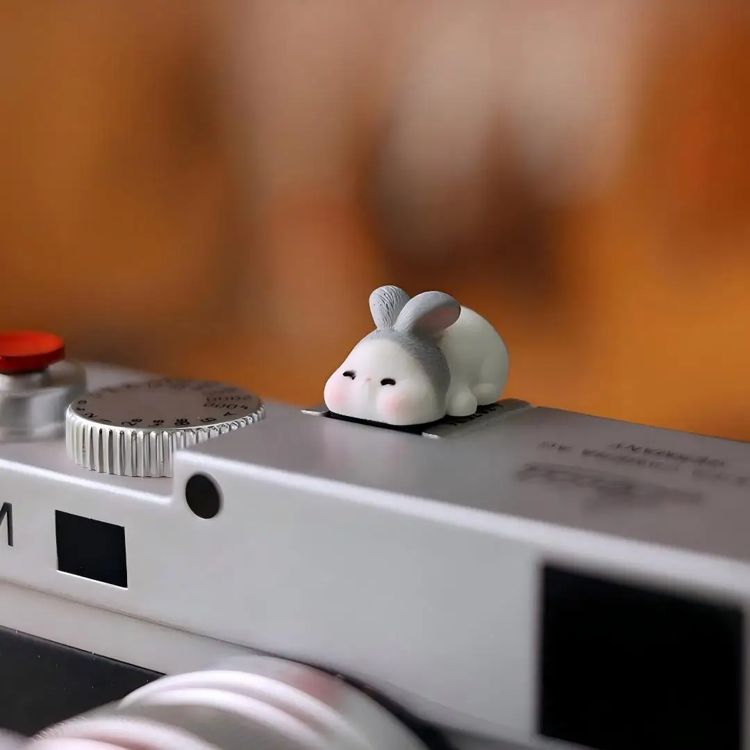 ฝาครอบฮอตชูตลก ฝาปิดฮอตชูกล้อง - Sony Camera Zv-E10 บทวิจารณ์และราคา